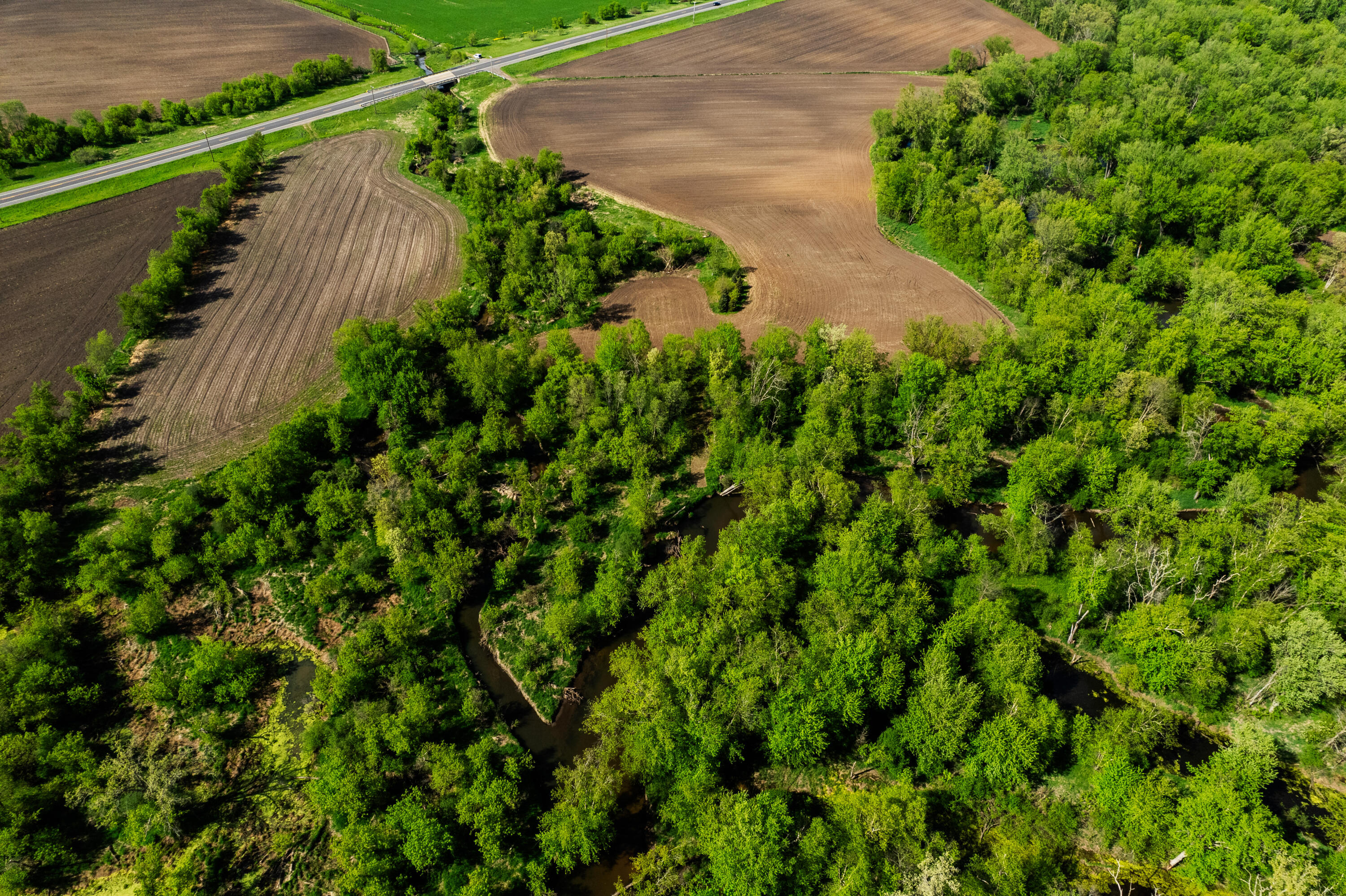 W16875 State Highway 95 Springfield, WI 54659 - Photo 2 of 22 Mixed Forestry