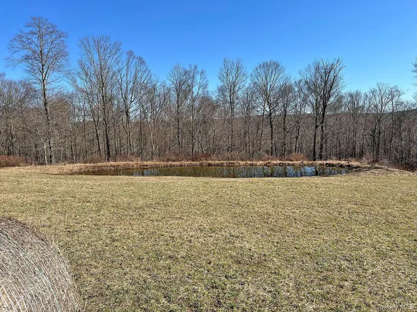a view of room with trees