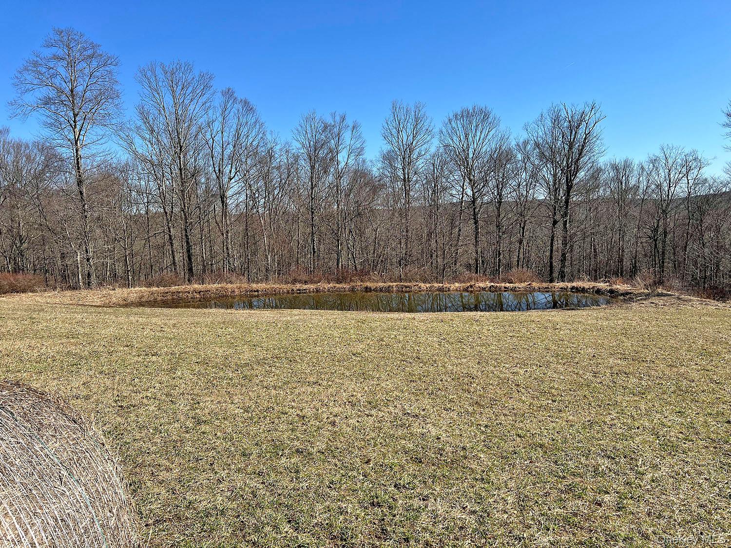 57 Boettger Road Callicoon, NY 12723 - Photo 11 of 22 Easy walk to the pond