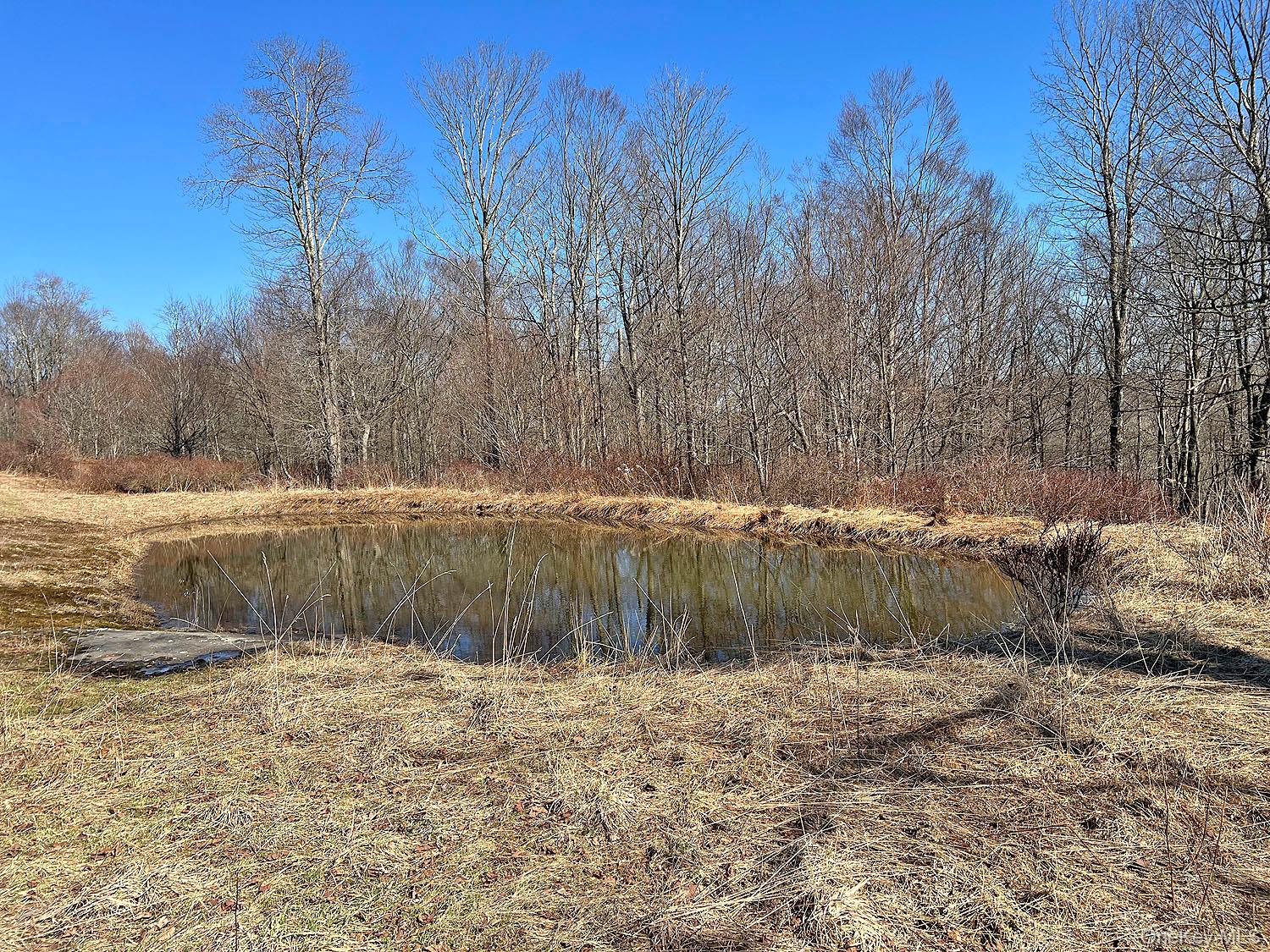 57 Boettger Road Callicoon, NY 12723 - Photo 12 of 22 Serene pond setting