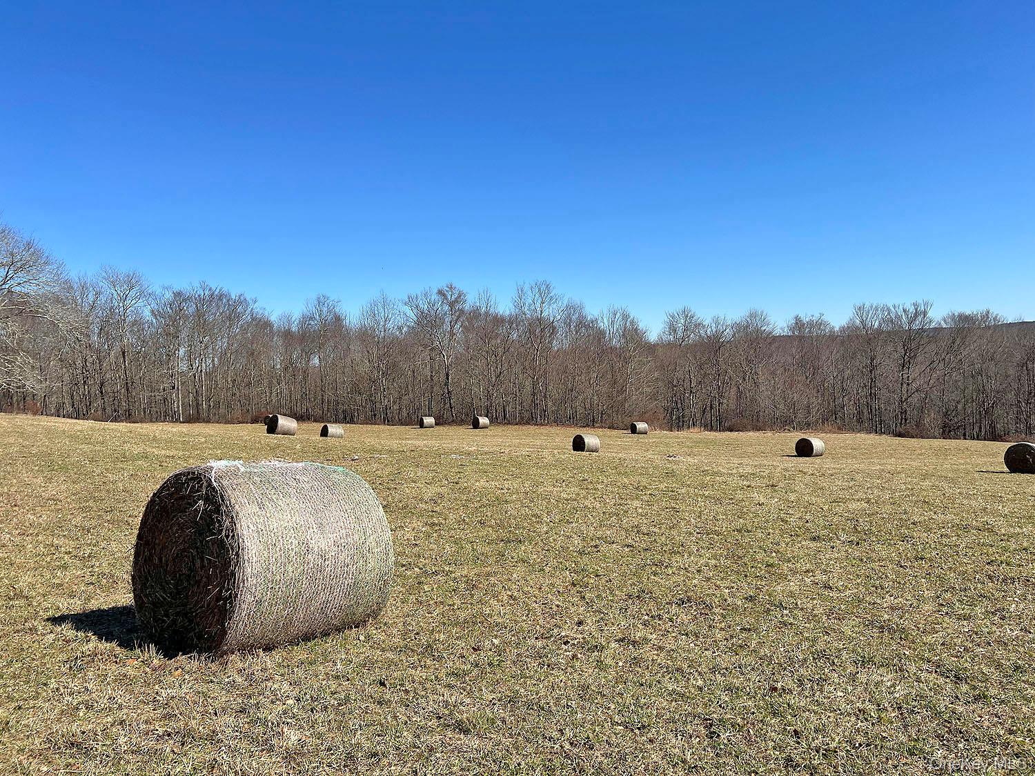 57 Boettger Road Callicoon, NY 12723 - Photo 13 of 22 Haybales in field
