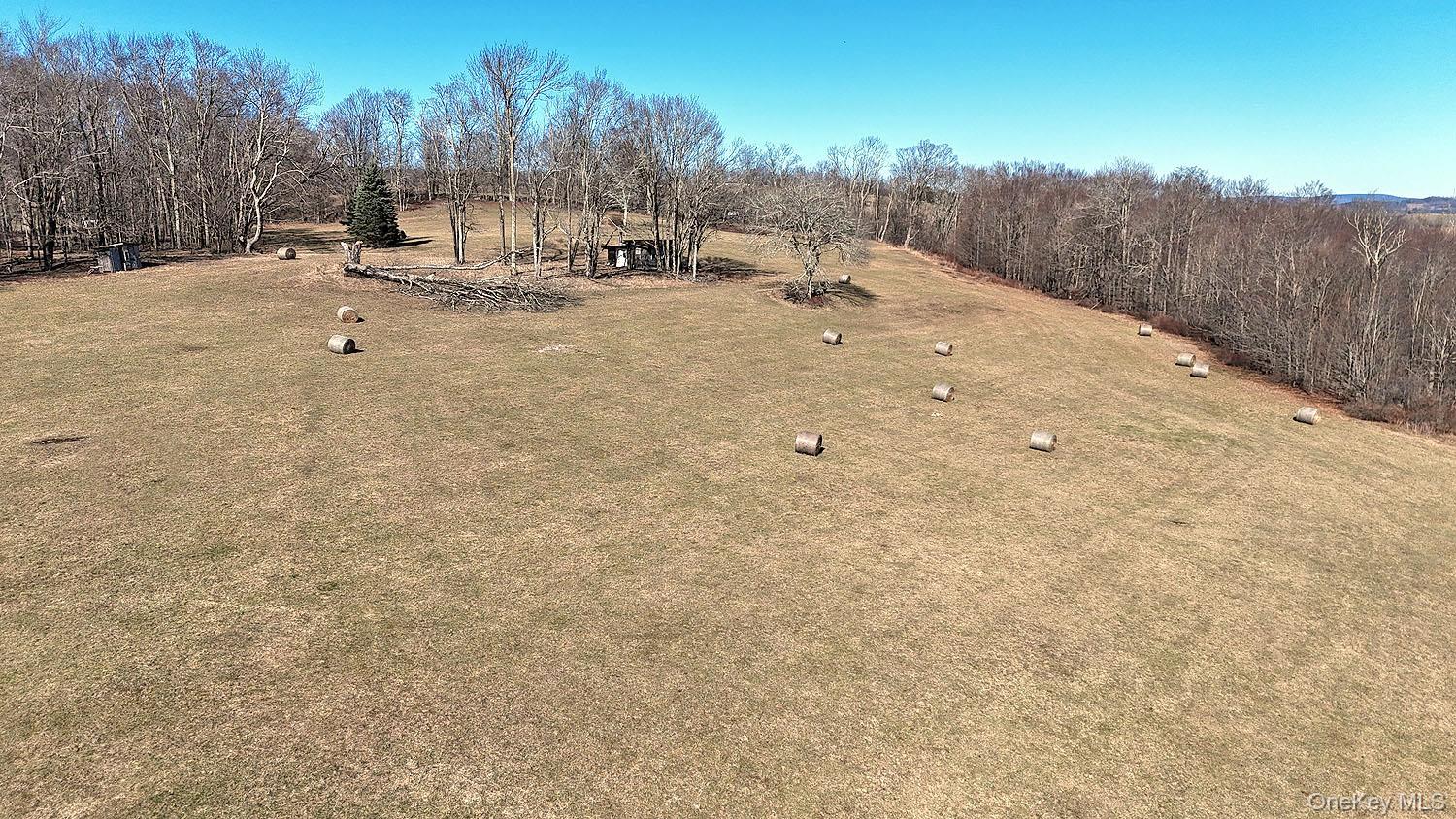 57 Boettger Road Callicoon, NY 12723 - Photo 14 of 22 View toward cabin