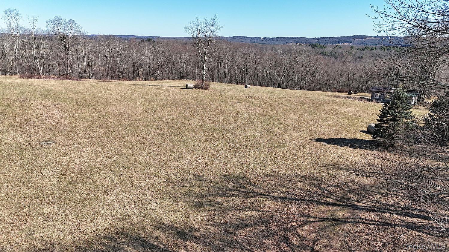 57 Boettger Road Callicoon, NY 12723 - Photo 15 of 22 From north side of property looking southeast
