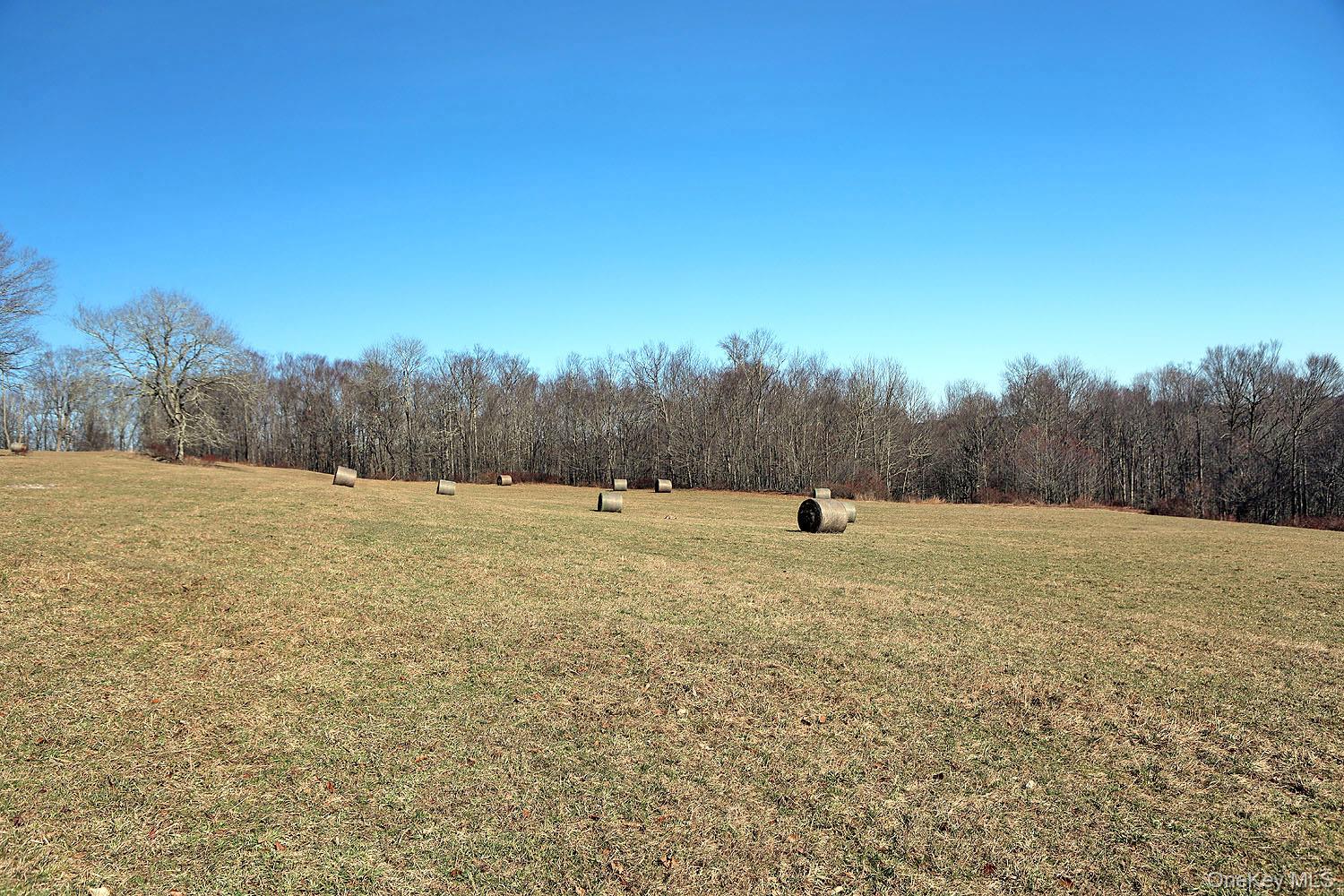 57 Boettger Road Callicoon, NY 12723 - Photo 17 of 22 Gently sloping fields