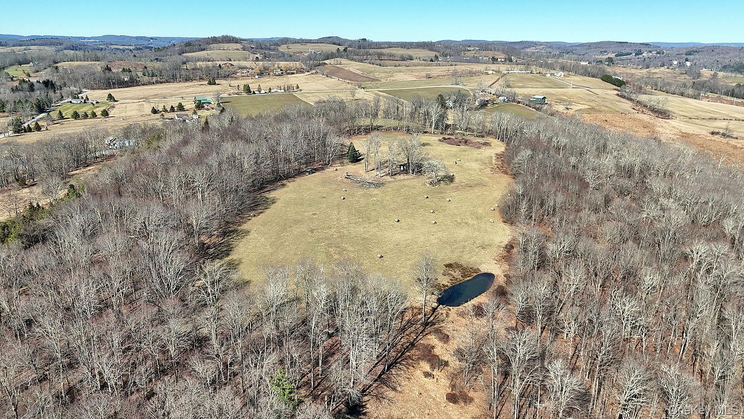 57 Boettger Road Callicoon, NY 12723 - Photo 18 of 22 Woods on all sides of property provide complete privacy