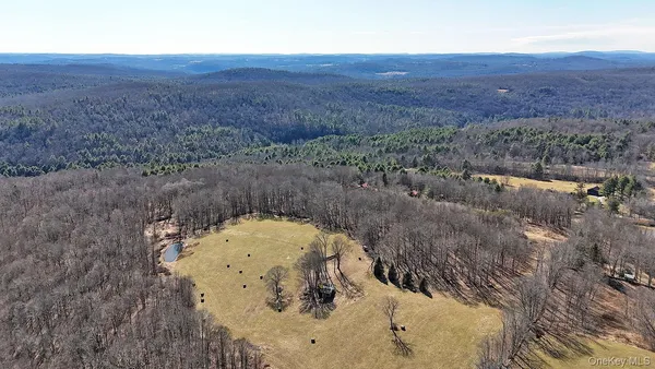an aerial view of mountain with residential space