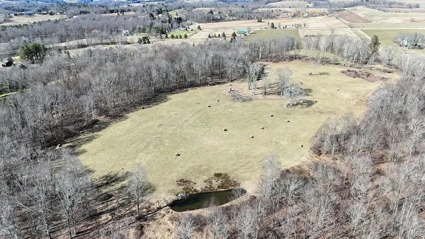 a view of a dry yard with trees