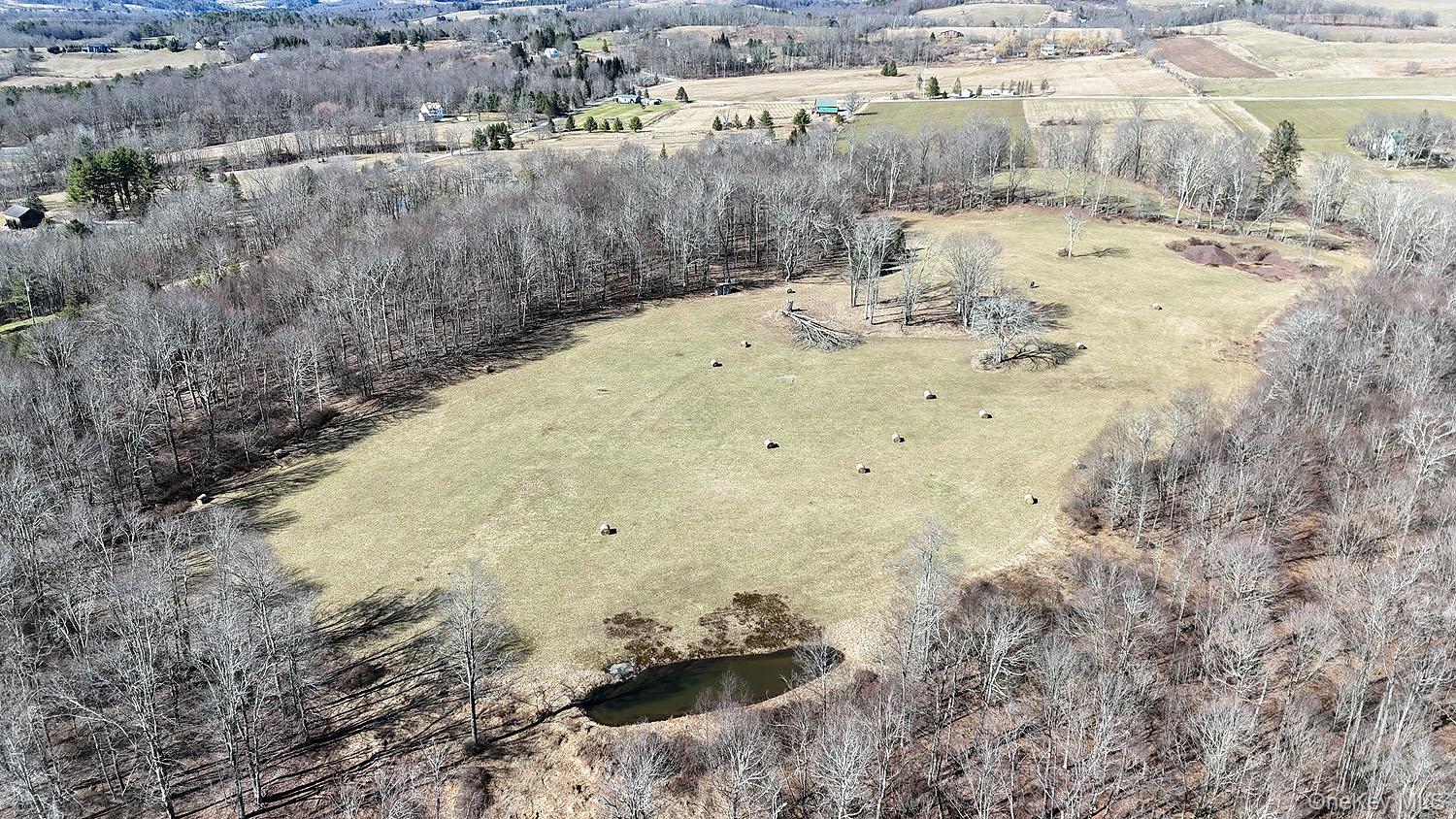 57 Boettger Road Callicoon, NY 12723 - Photo 2 of 22 From south side of cleared field looking north