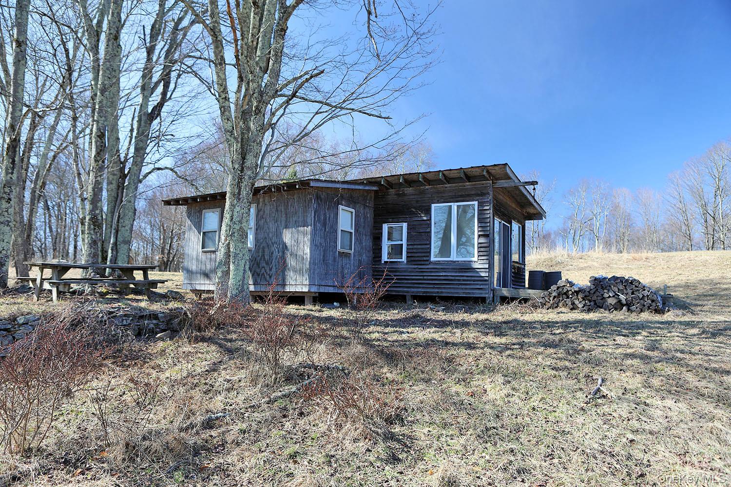 57 Boettger Road Callicoon, NY 12723 - Photo 6 of 22 South facade