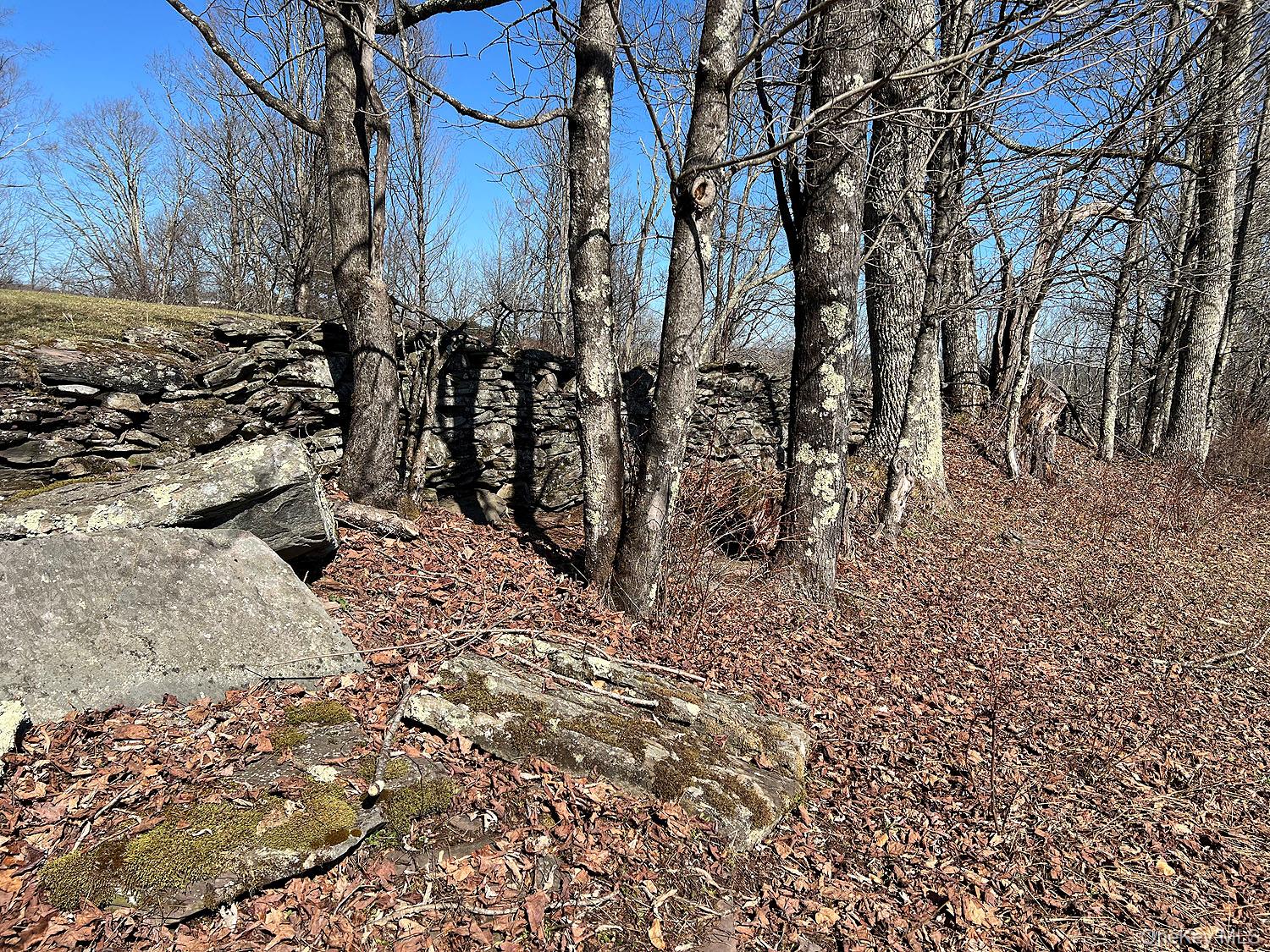 57 Boettger Road Callicoon, NY 12723 - Photo 7 of 22 Stone wall along north boundary