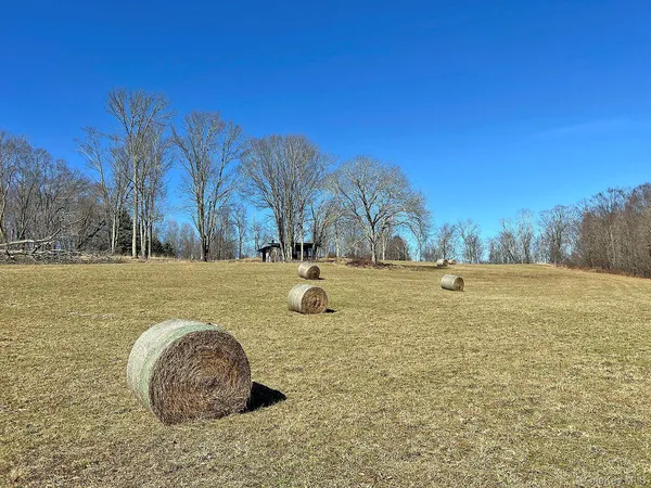 a view of swimming pool with a yard