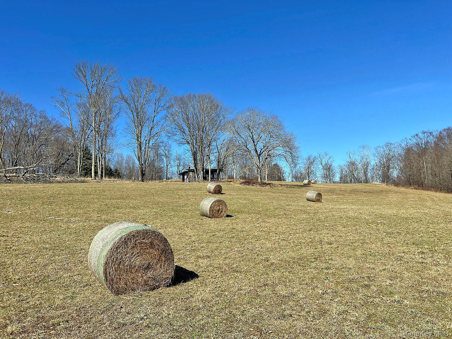 57 Boettger Road Callicoon, NY 12723 - Photo 8 of 22 Local farmer currently takes hay from fields