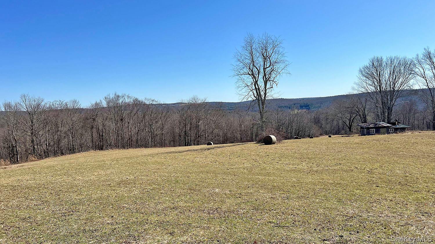 57 Boettger Road Callicoon, NY 12723 - Photo 9 of 22 Field and view