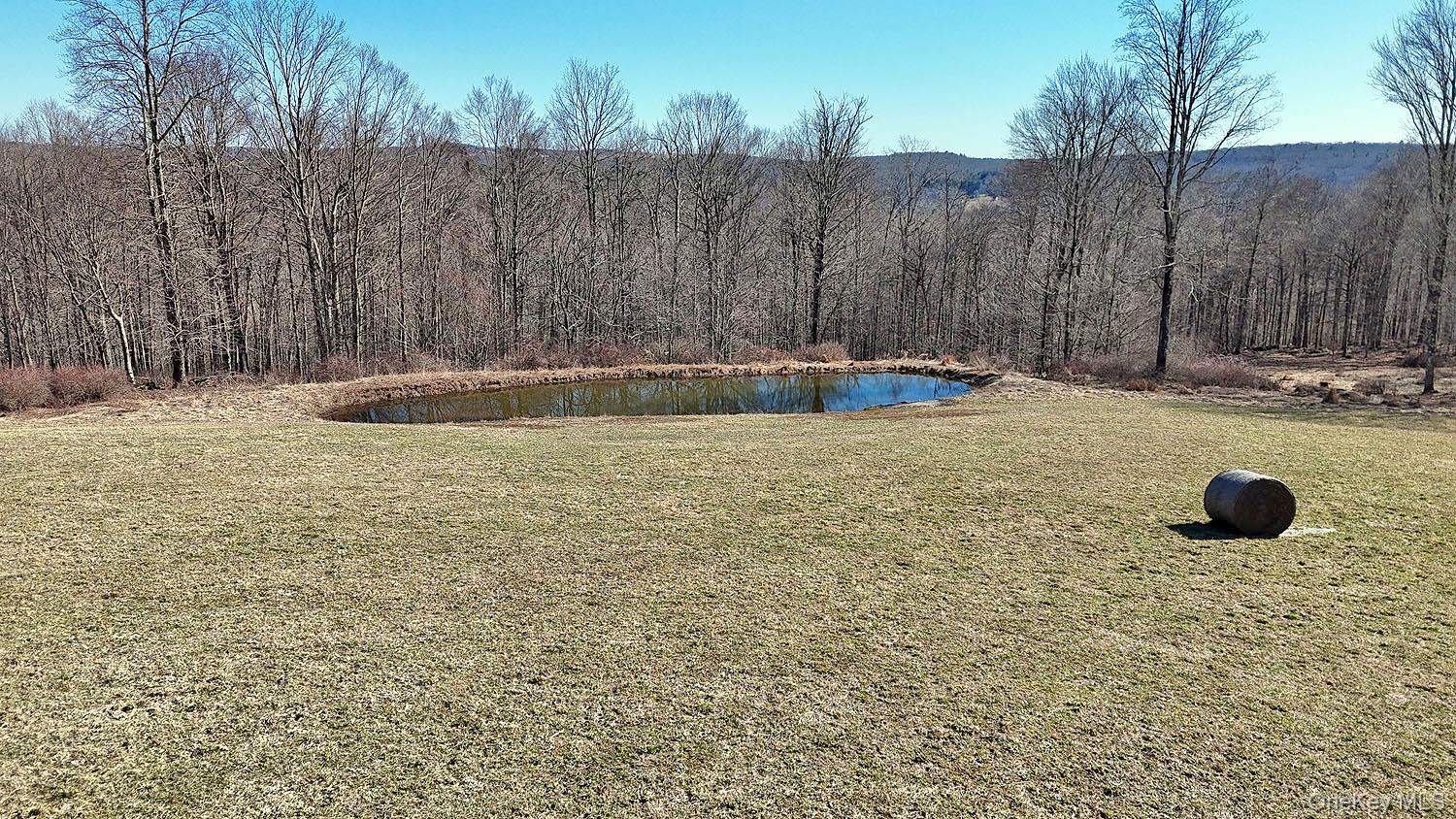 57 Boettger Road Callicoon, NY 12723 - Photo 10 of 22 Easy walk to the pond