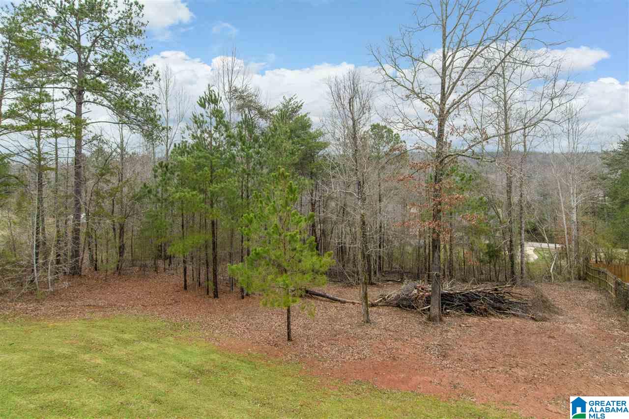 450 Levine Road Odenville, AL 35120 - Photo 26 of 26