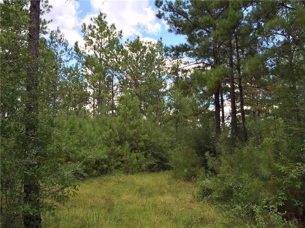 0 North Factory Road Folsom, LA 70437 - Photo 1 of 4 Gallery Image 1