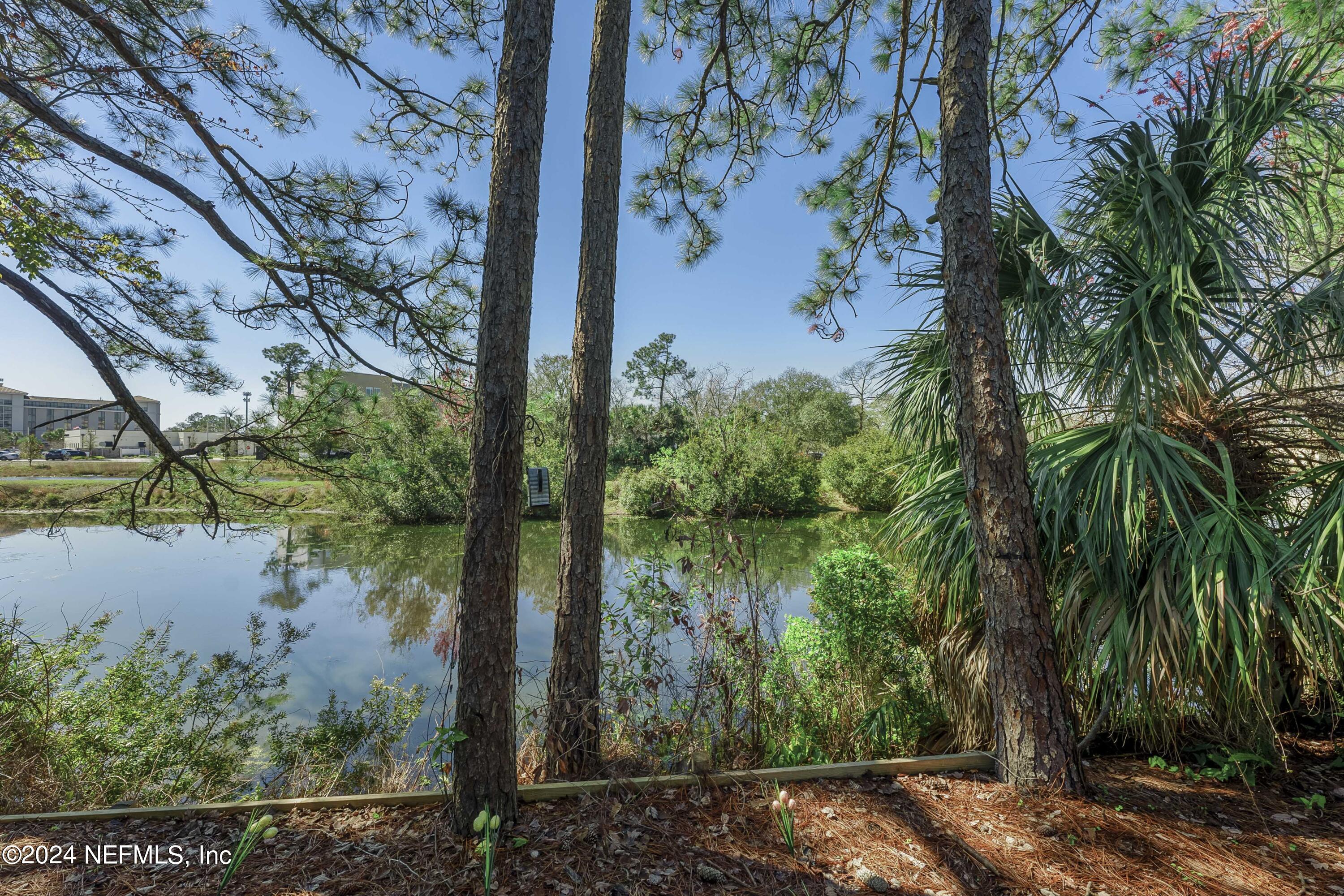 8118 Baymeadows Circle East, Unit 5 Jacksonville, FL 32256 - Photo 13 of 23 a view of a lake with a tree in front of it