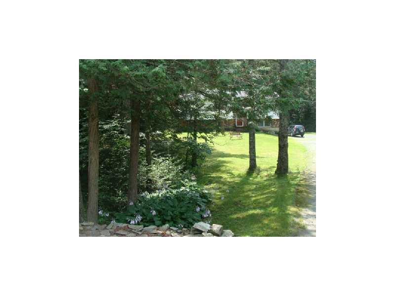 Back Yard.