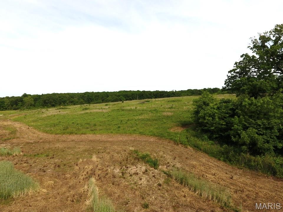 Tbd Van Horn Road Bland, MO 65014 - Photo 19 of 47