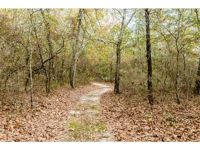 1282 Clayton Road Ridge Spring, SC 29129 - Photo 22 of 23