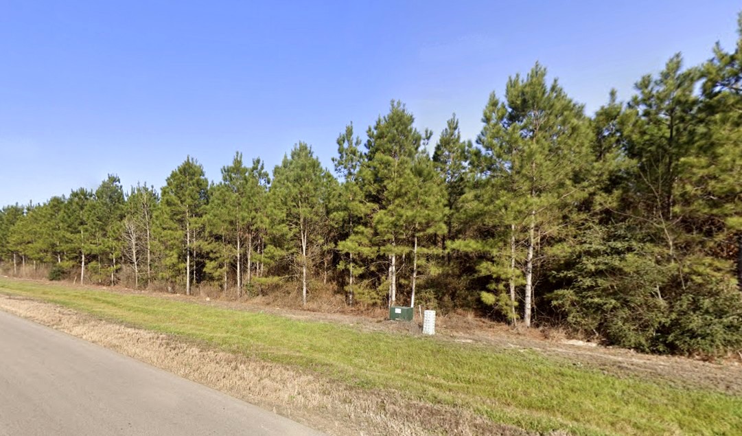 15751 Ridge Rock Road Willis, TX 77378 - Photo 19 of 19