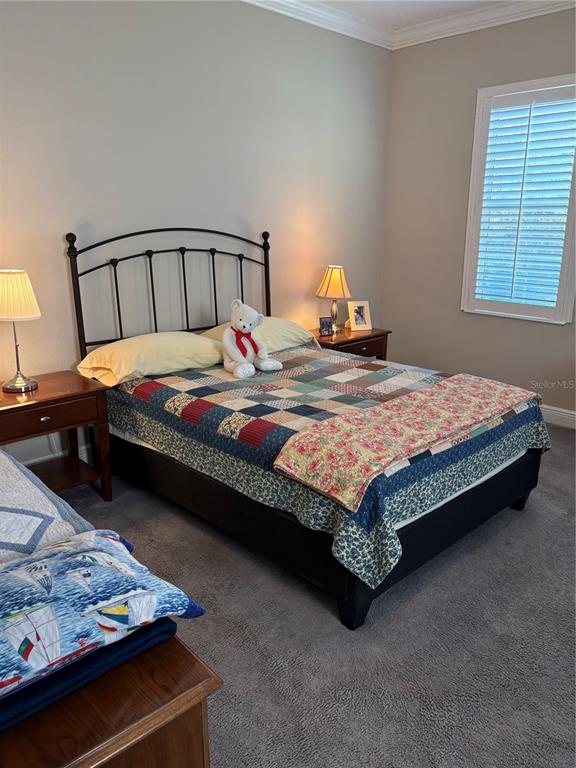 103 Cutlass Way Oldsmar, FL 34677 - Photo 18 of 20 a bed sitting in a bedroom next to a window