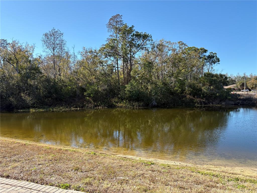 103 Cutlass Way Oldsmar, FL 34677 - Photo 6 of 20 a view of a water with a yard