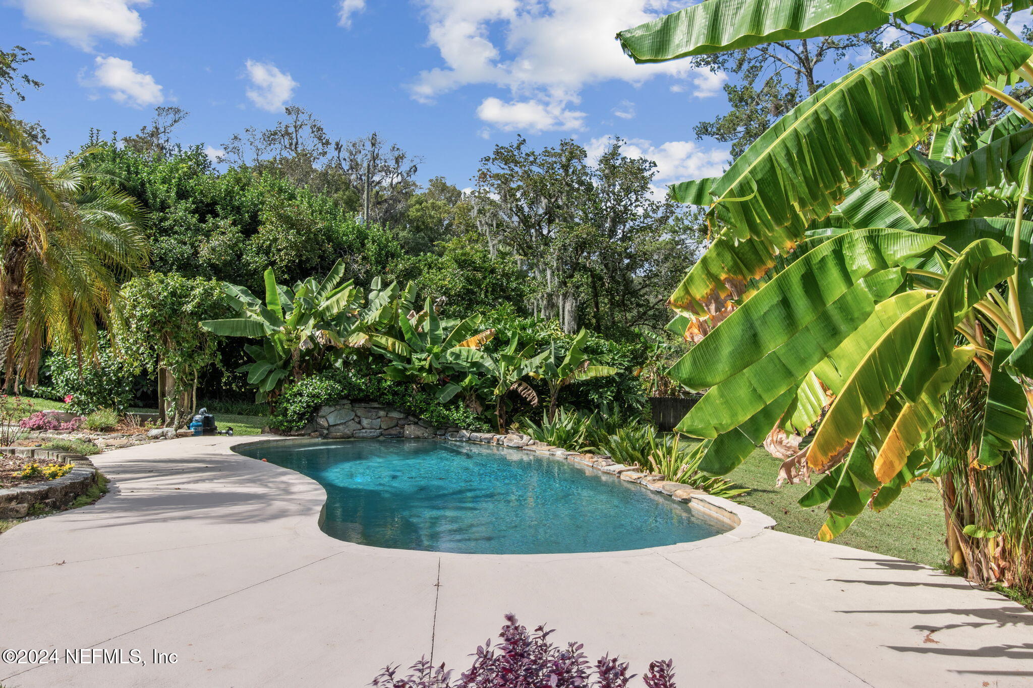 5031 Degrove Road Jacksonville, FL 32207 - Photo 59 of 81 Sparkling pool