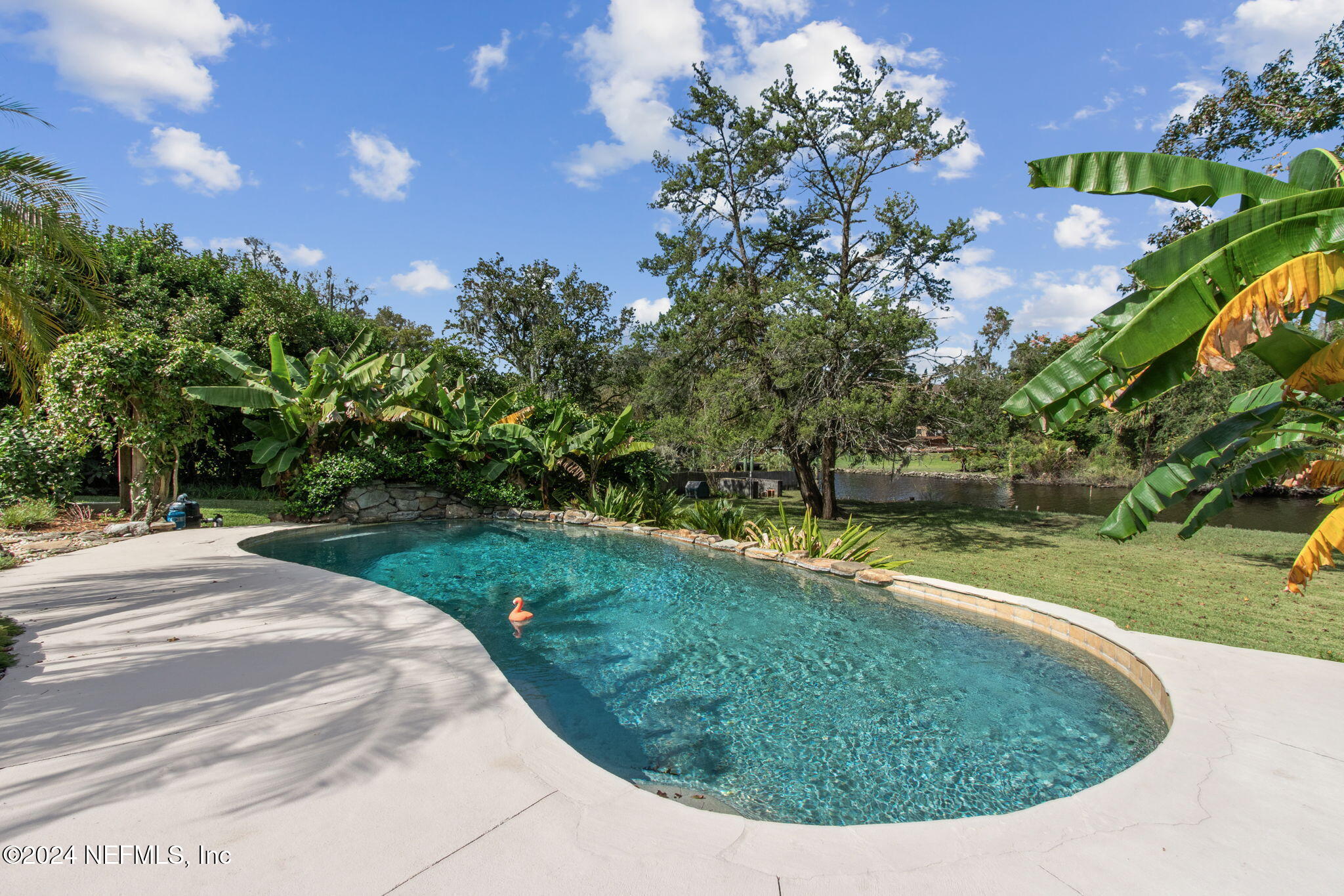 5031 Degrove Road Jacksonville, FL 32207 - Photo 60 of 81 Sparkling pool