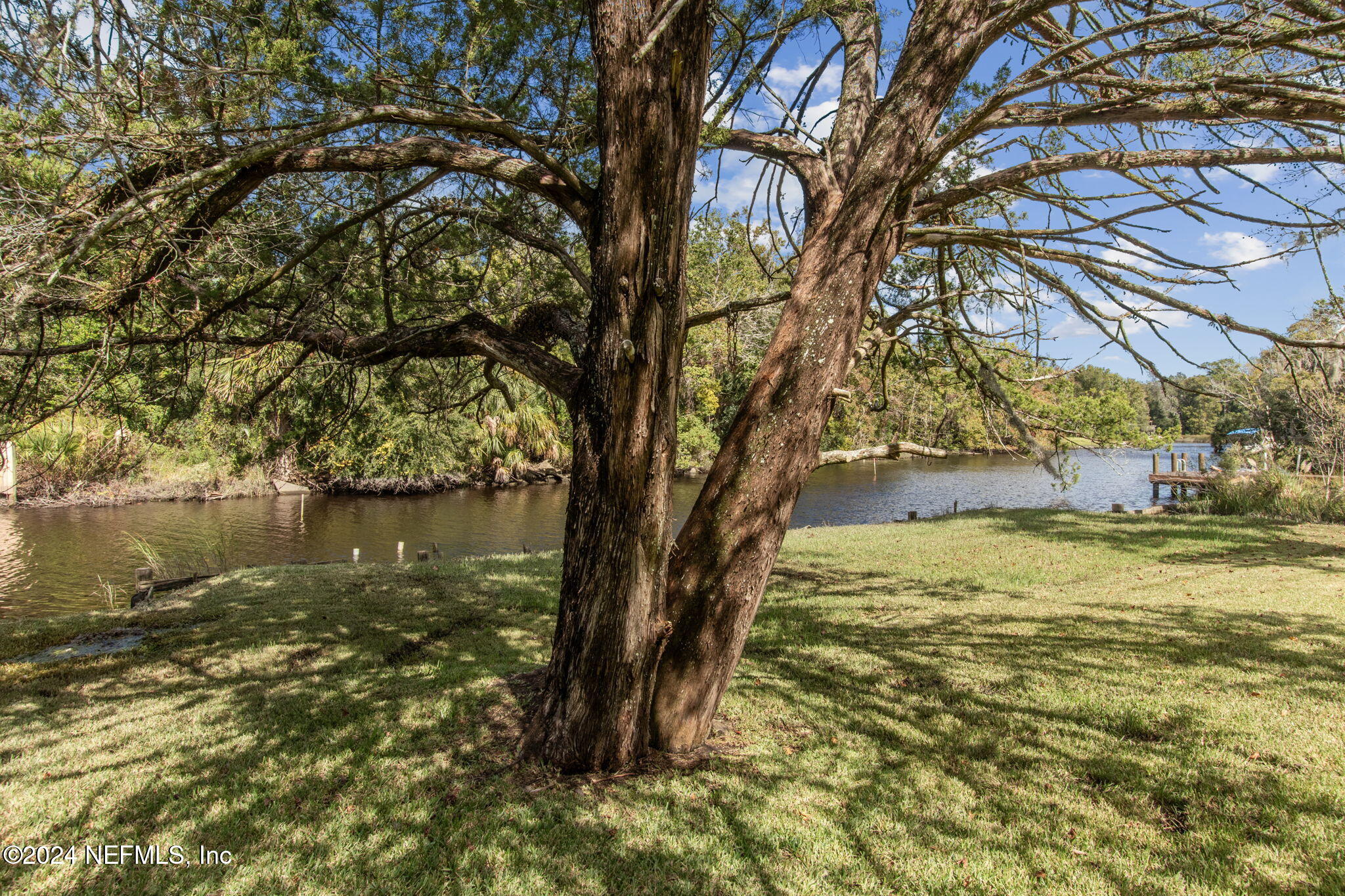 5031 Degrove Road Jacksonville, FL 32207 - Photo 62 of 81 Little Pottsburg Creek