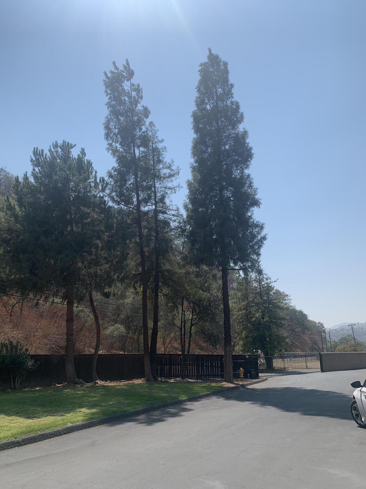 45419 Sierra Drive Three Rivers, CA 93271 - Photo 14 of 16 IMG-3790