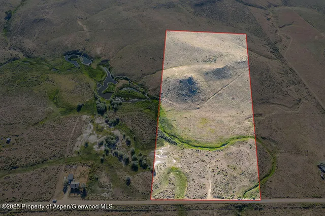 a view of a tree in a park