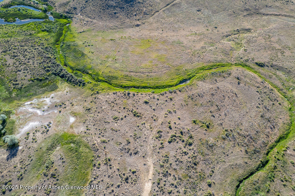 40 Highway 40 Craig, CO 81625 - Photo 3 of 46 a view of a dry plant with large trees