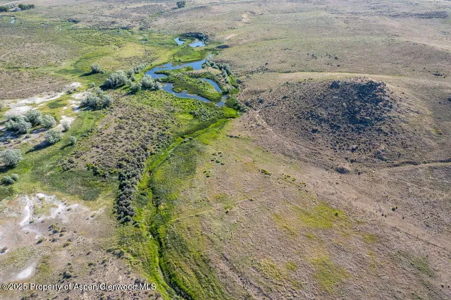 a view of a field with lots of trees