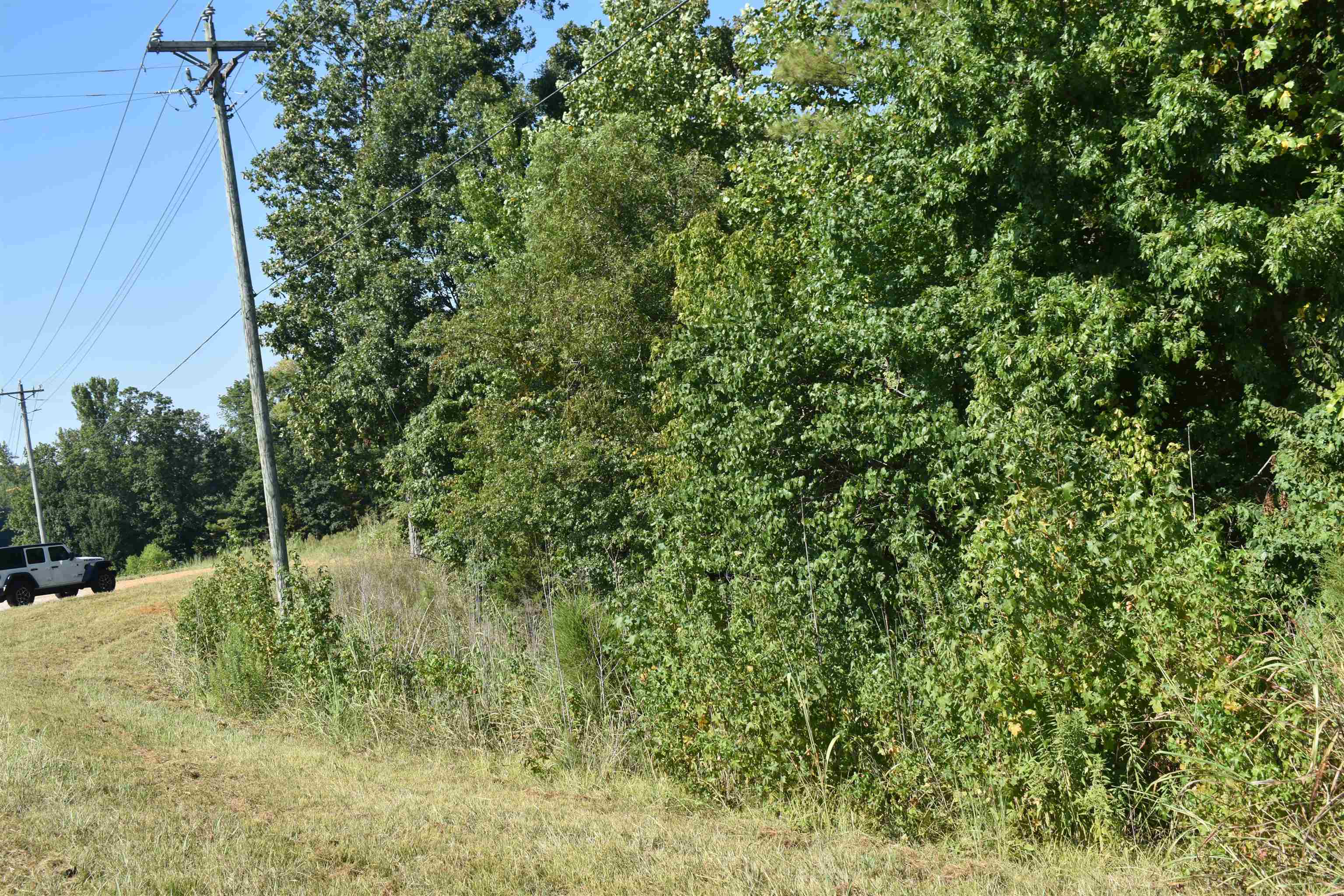 0 45th Highway Ramer, TN 38367 - Photo 4 of 8 a view of a forest