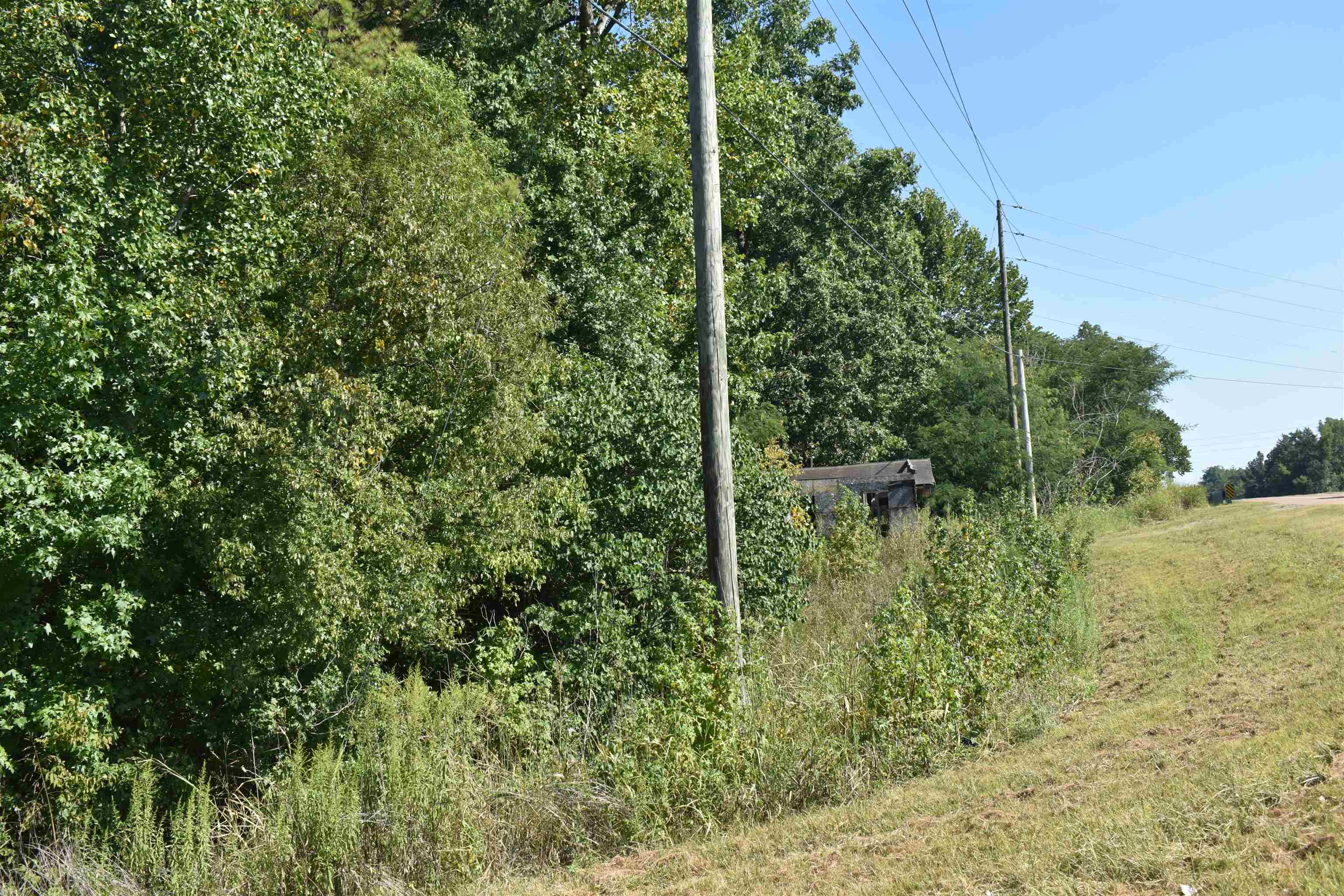 0 45th Highway Ramer, TN 38367 - Photo 6 of 8 a view of a garden