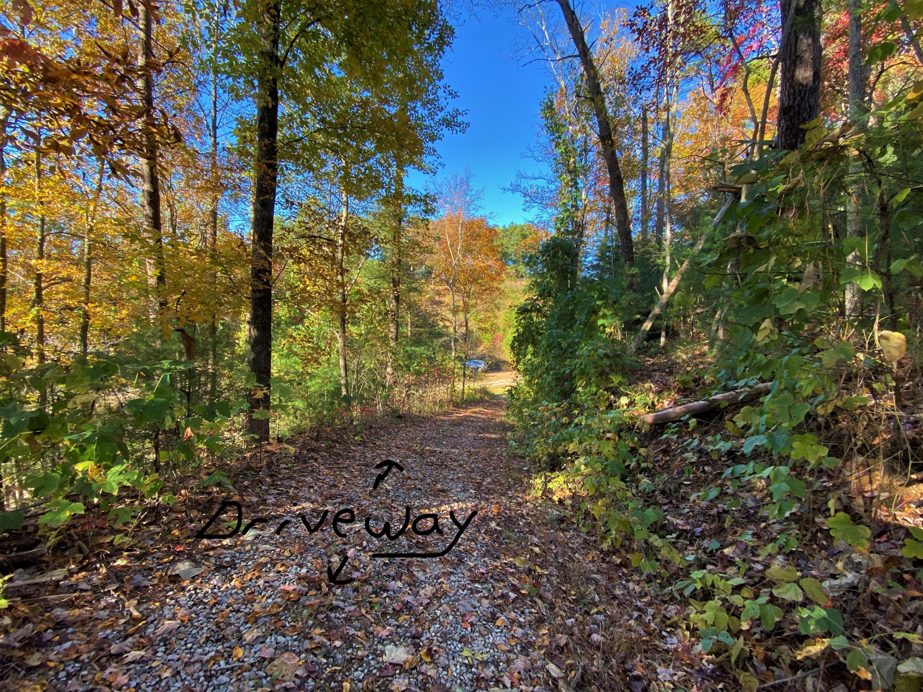 0 Living Way Del Rio, TN 37727 - Photo 3 of 7 3