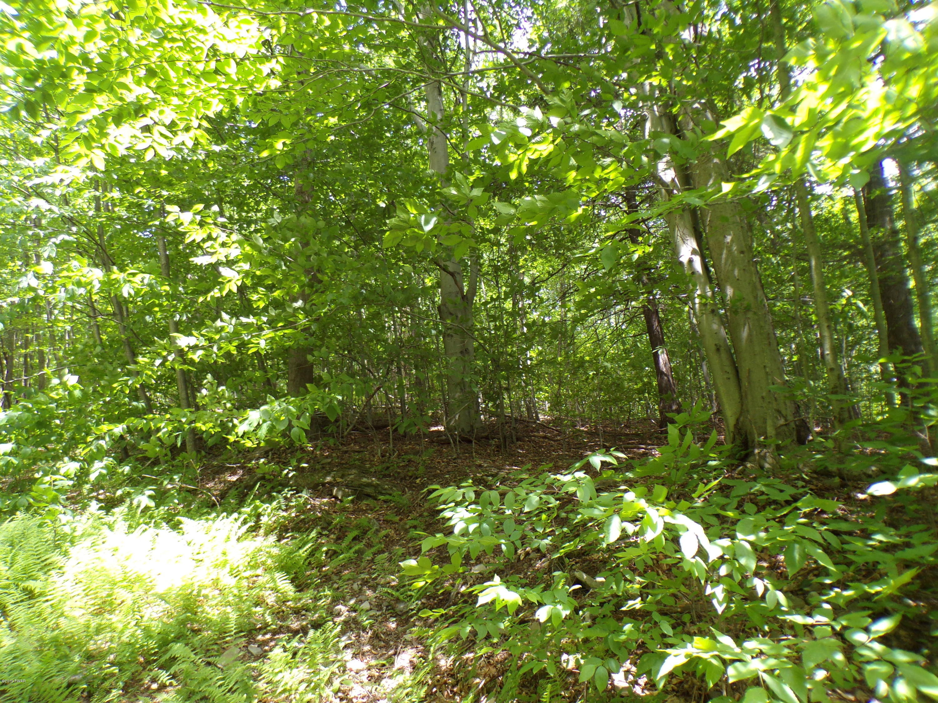Dozy Road Pleasant Mount, PA 18453 - Photo 5 of 11