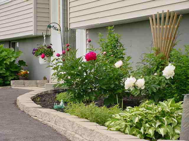 280 Lindskoog Road Alcove, NY 12007 - Photo 9 of 12 Photo 9