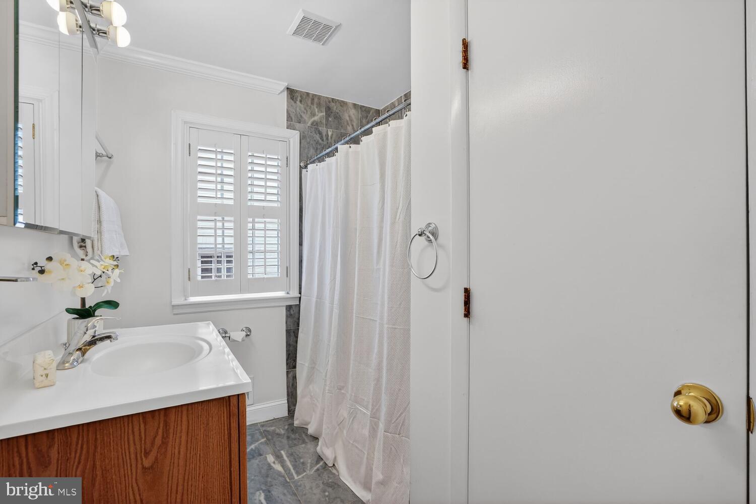 2420 Cameron Mills Road Alexandria, VA 22302 - Photo 24 of 45 a bathroom with a sink vanity and tub