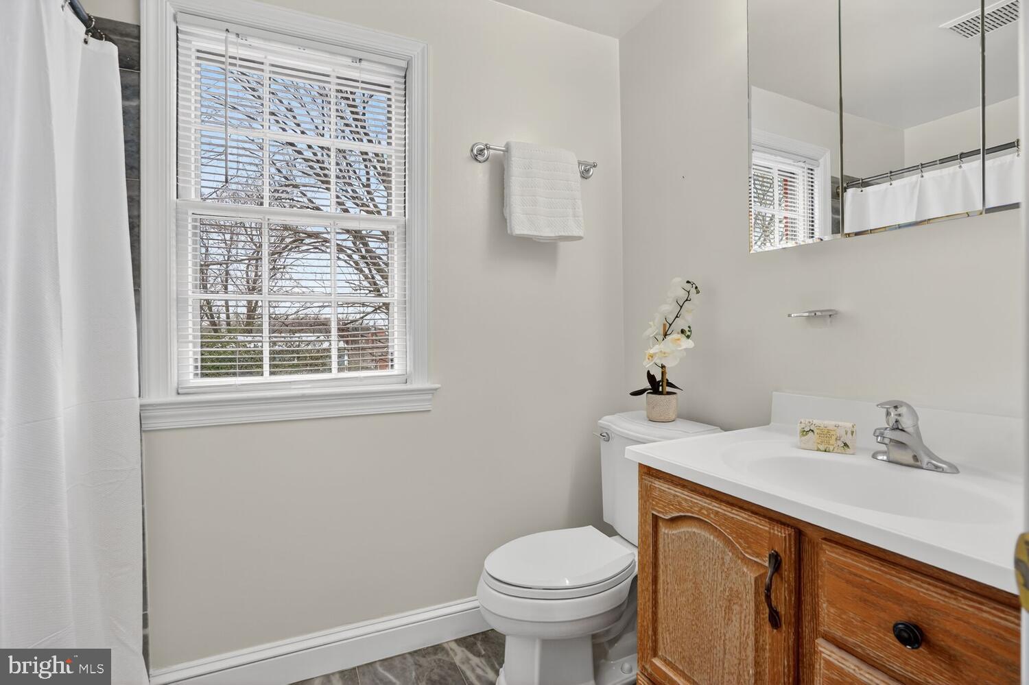 2420 Cameron Mills Road Alexandria, VA 22302 - Photo 31 of 45 a bathroom with a sink a toilet and a window