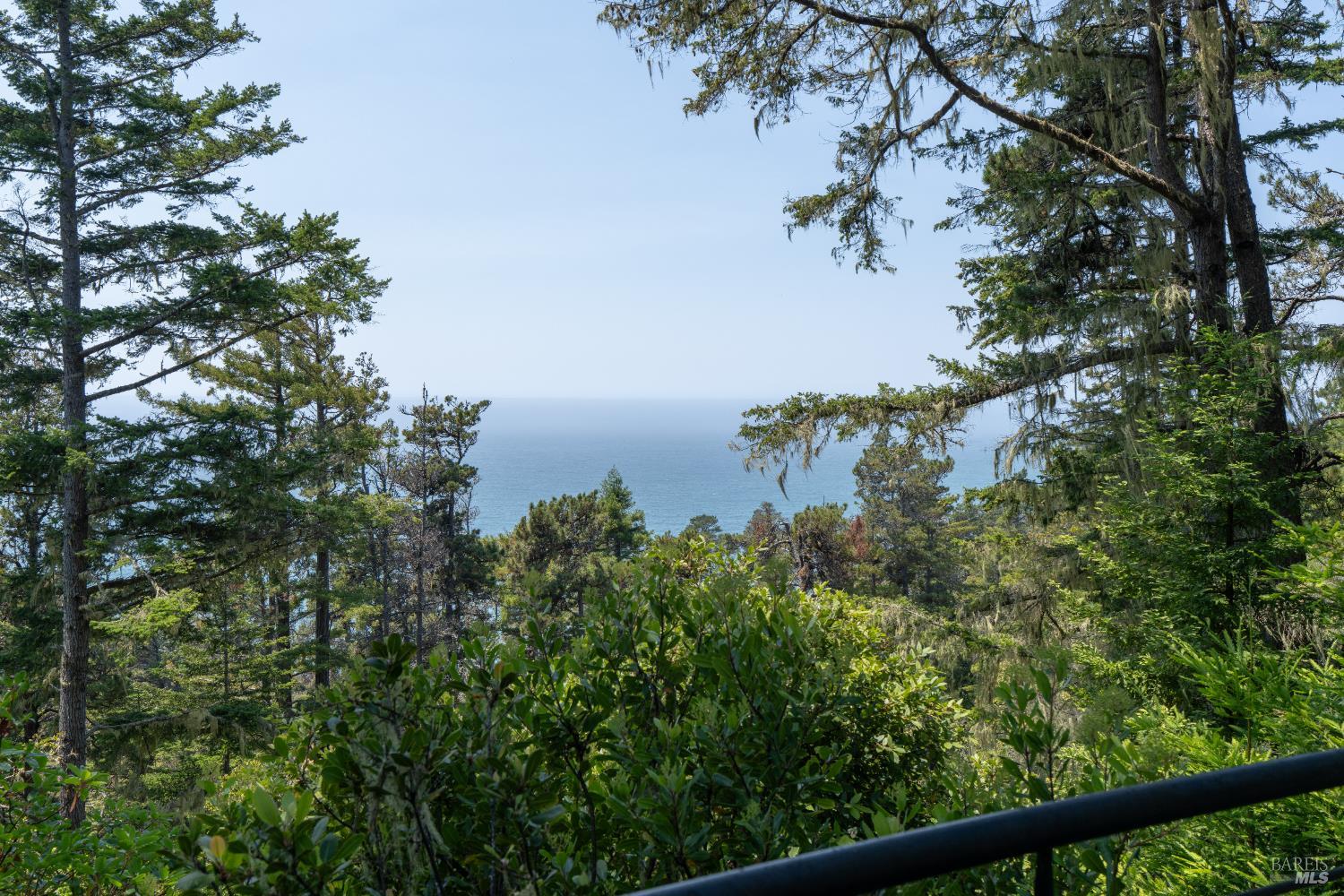 46900 Gypsy Flat Road Gualala, CA 95445 - Photo 13 of 66