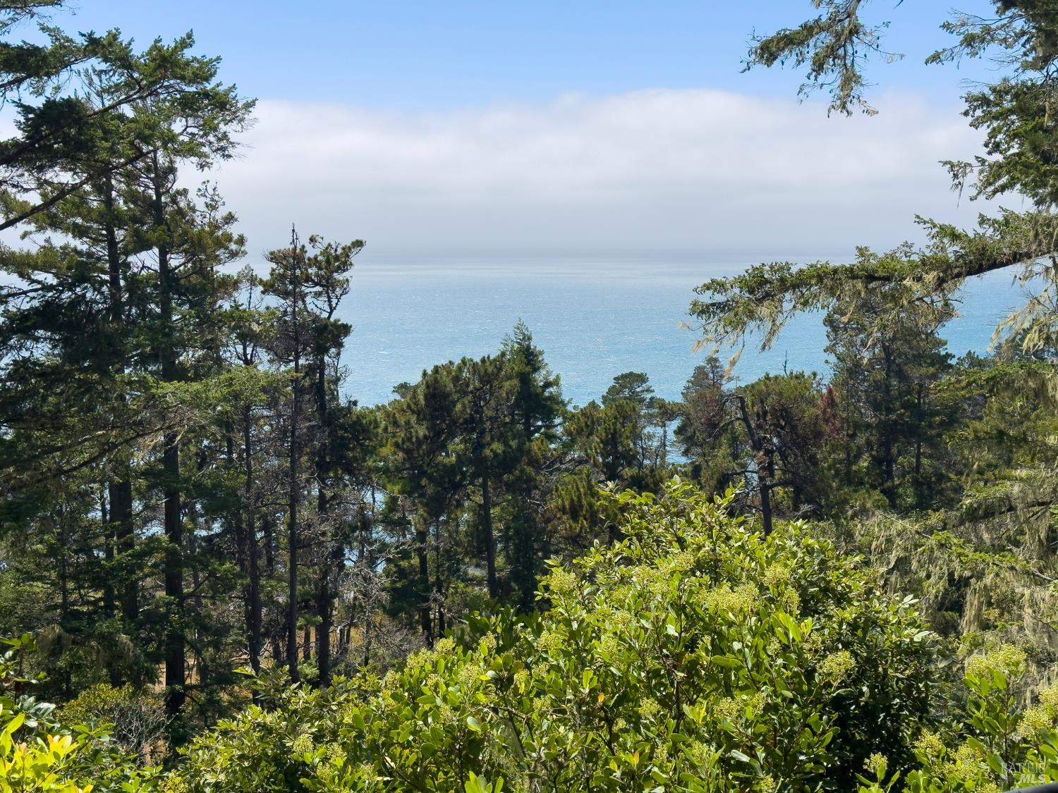 46900 Gypsy Flat Road Gualala, CA 95445 - Photo 19 of 66