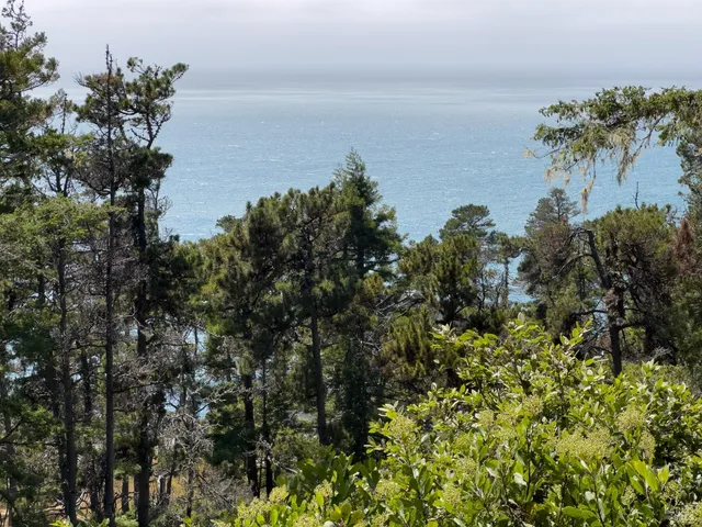 $3,500,000 | 46900 Gypsy Flat Road, Gualala, CA 95445