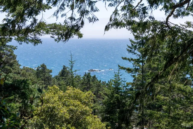 $3,500,000 | 46900 Gypsy Flat Road, Gualala, CA 95445