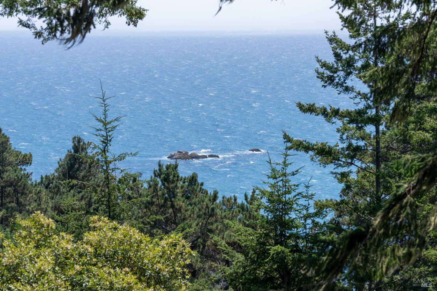 46900 Gypsy Flat Road Gualala, CA 95445 - Photo 48 of 66