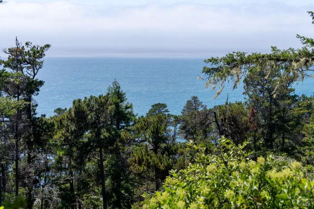 $3,500,000 | 46900 Gypsy Flat Road, Gualala, CA 95445