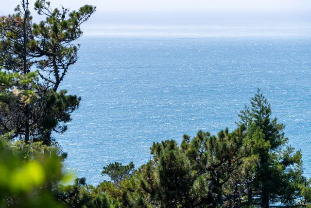 $3,500,000 | 46900 Gypsy Flat Road, Gualala, CA 95445