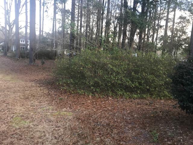 0 Deerwood Road Barnwell, SC 29812 - Photo 3 of 5