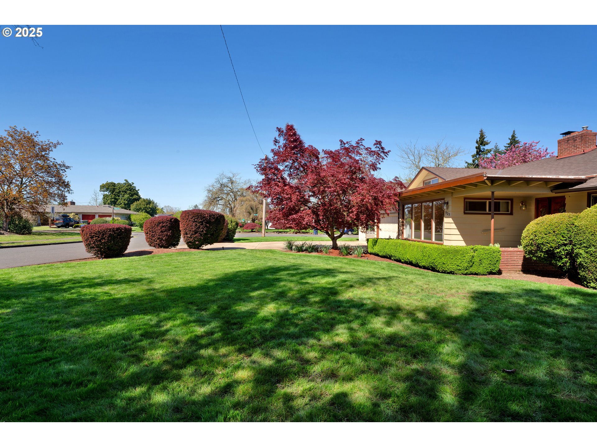 925 Ascot Drive Eugene, OR 97401 - Photo 2 of 44 a view of a house with a backyard